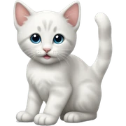 Kitten sticker