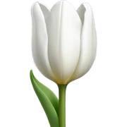 white tulip sticker