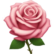 Rose sticker