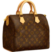 Louis Vuitton bag sticker