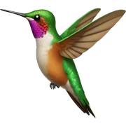 Hummingbird  sticker