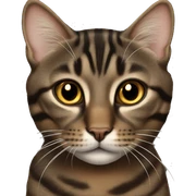 Dark brown tabby with gold eyes sticker