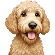 goldendoodle sticker