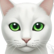 White cat with one green and one blie eye sticker