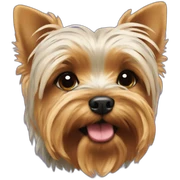 Yorkshire Terriers kissing sticker