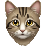 Кот sticker