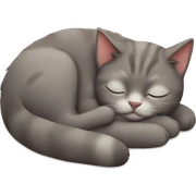cat sleeping  sticker