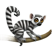 lemur sticker
