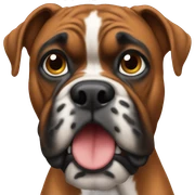 Boxer sticker