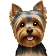 yorkie  sticker