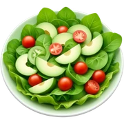Salata sticker