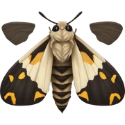 Deathhead moth sticker