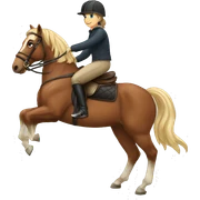   horse riding horse sticker