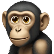 Monkey  sticker