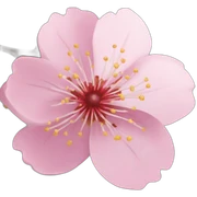 Cherry Blossom flower sticker