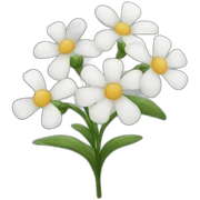 White flowers sticker