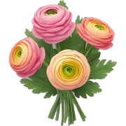 Ranunculus bouquet  sticker