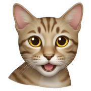 Cat sticker
