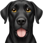 black lab sticker