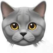 British shorthair sticker