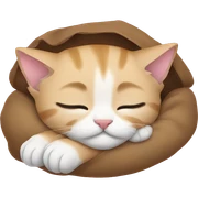 sleeping kitten sticker