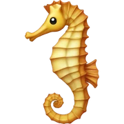 Seahorse sticker
