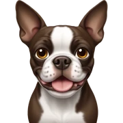 Brown Boston terrier sticker