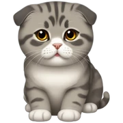 scottish fold sticker