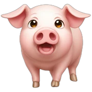 Cochon  sticker