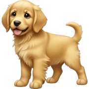 golden retriever puppy sticker