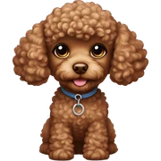Brown toy poodle pup  sticker
