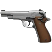 Gun sticker