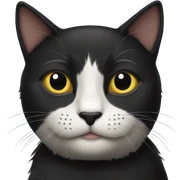 Black cat sticker