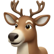 reindeer sticker