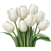 white tulip bouquet  sticker