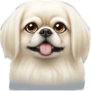 albino pekingese sticker