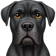 Cane Corso  sticker