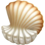 Shell pearl sticker