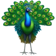 peacock sticker