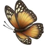  butterfly’s  sticker