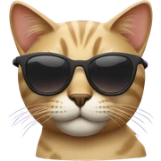 Cat with sunglasses sticker