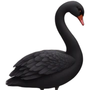 black swan sticker