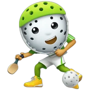 pickleball 543 sticker