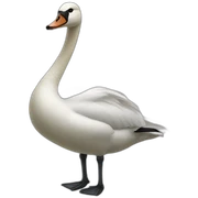 Lachender Schwan sticker