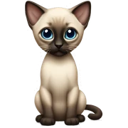 Siamese kitten standing sticker