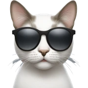 Cat with sunglasses sticker