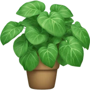 Pothos plant sticker