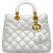 Dior bag sticker