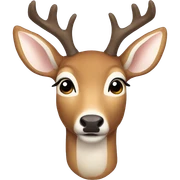 Deer sticker
