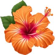orange Hibiscus flower sticker